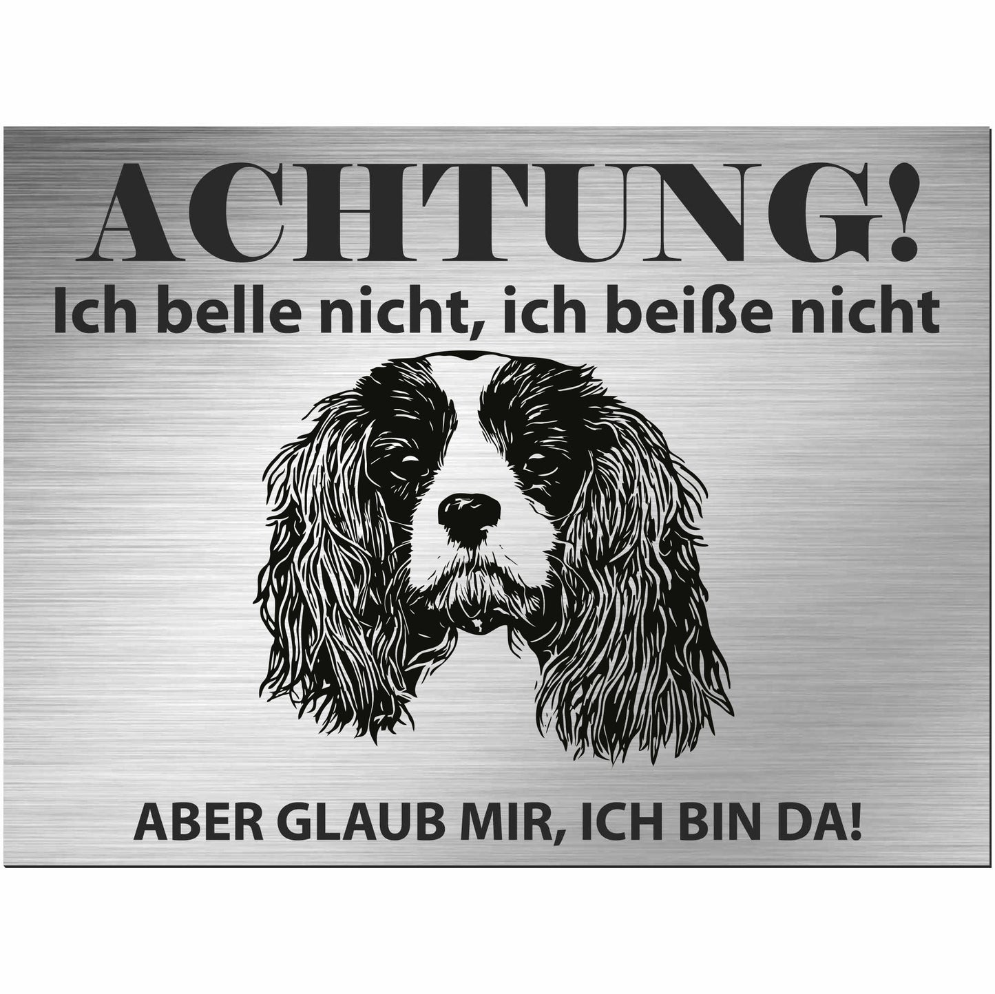 Cavalier King Charles Spaniel - Schild bedruckt - Alu-Dibond Edelstahl Look