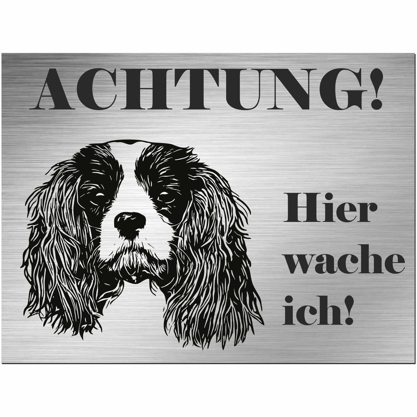 Cavalier King Charles Spaniel - Schild bedruckt - Alu-Dibond Edelstahl Look